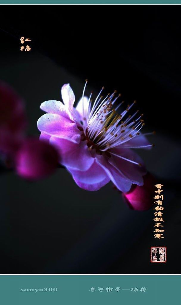 beat365亚洲体育官方网站