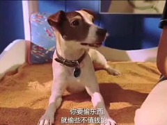 ‘beat365官网’凉拌芥味西葫芦的做法(图3) beat·365