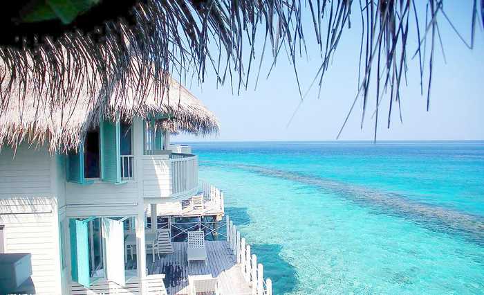 beat·365:晓井(图1) beat365官网