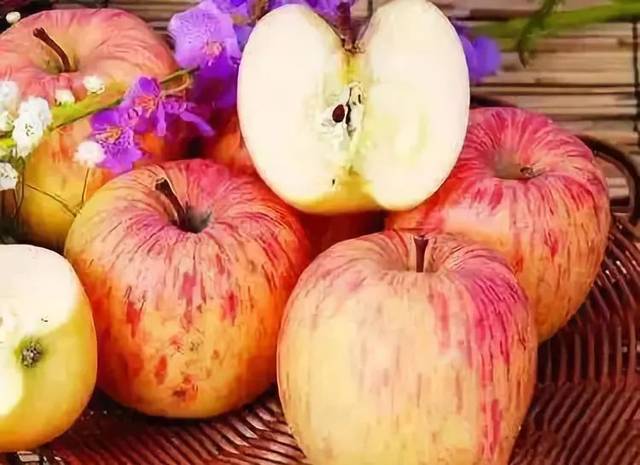 探析影响培智语文课堂教学有效性的因素|beat365官网(图3) beat·365