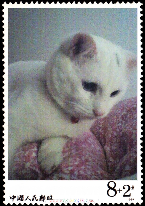 beat365亚洲体育官方网站