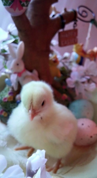 新零售与餐饮有什么关系?【beat365亚洲体育官方网站】(图3) beat365亚洲体育官方网站