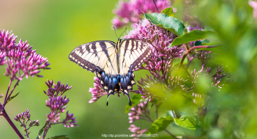 ‘beat365官网’新医疗服务价格下医院的生存和发展(图1) beat365官网