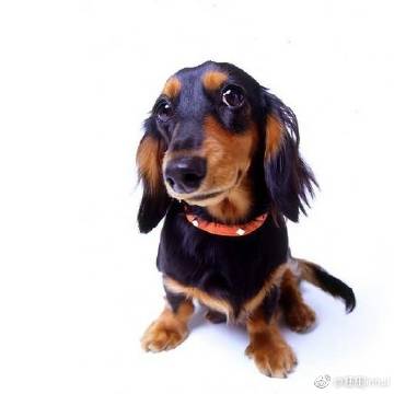 论充分发挥国有农场在建设社会主义新农村中的积极作用“beat365亚洲体育官方网站”(图4) beat365亚洲体育官方网站